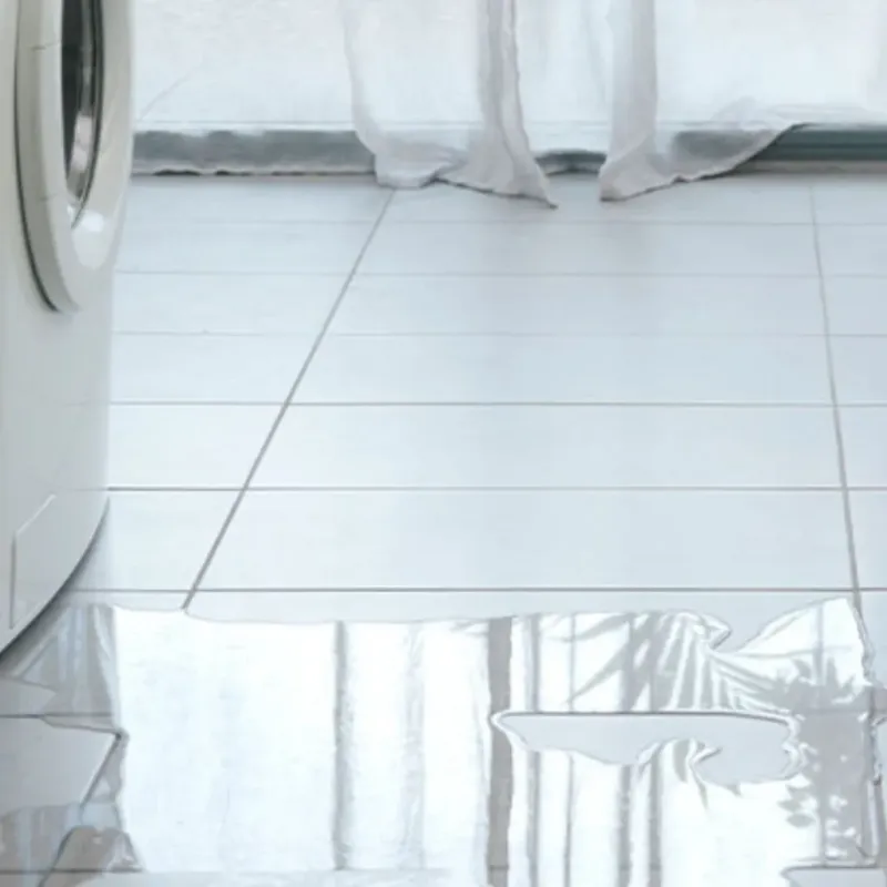 Appliance Leak Cleanup in Denmark, SC