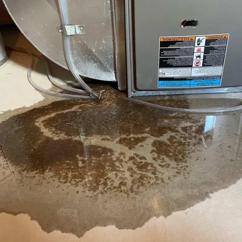 Pipe Burst and Leak Restoration in Denmark, SC