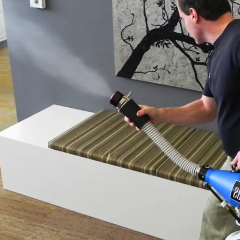 Professional Odor Removal in Denmark, SC
